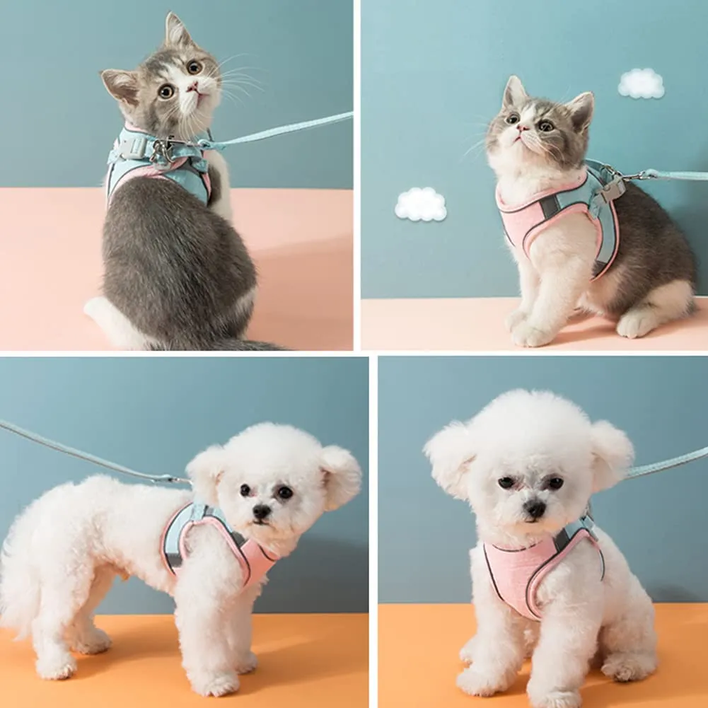 Luminous Cat Vest Harness and Leash Set